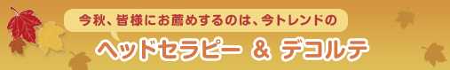 ���H�A�F�l�ɂ��E�߂���̂́A���g�����h�́y�w�b�h�Z���s�[���f�R���e�z